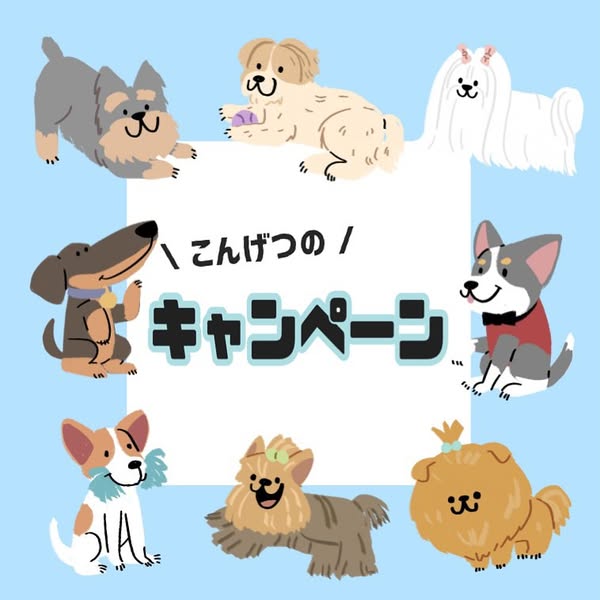instagram今月のキャンペーン