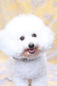 �X���C���[�W